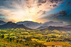 From Vineyards to Wildlife