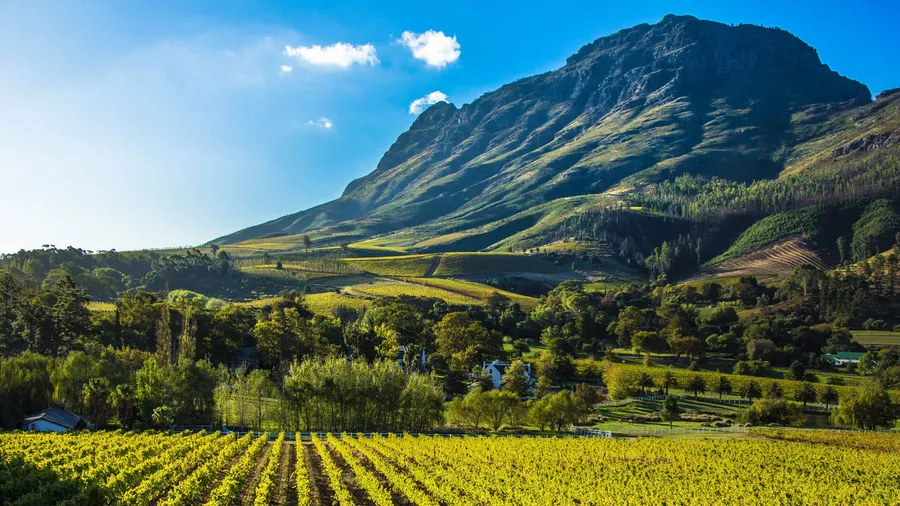 WINE ROUTE