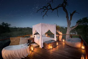 tree-house-safari