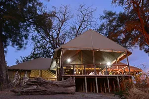 Camp Linyanti