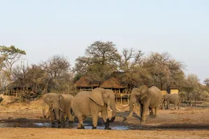 Savuti Camp