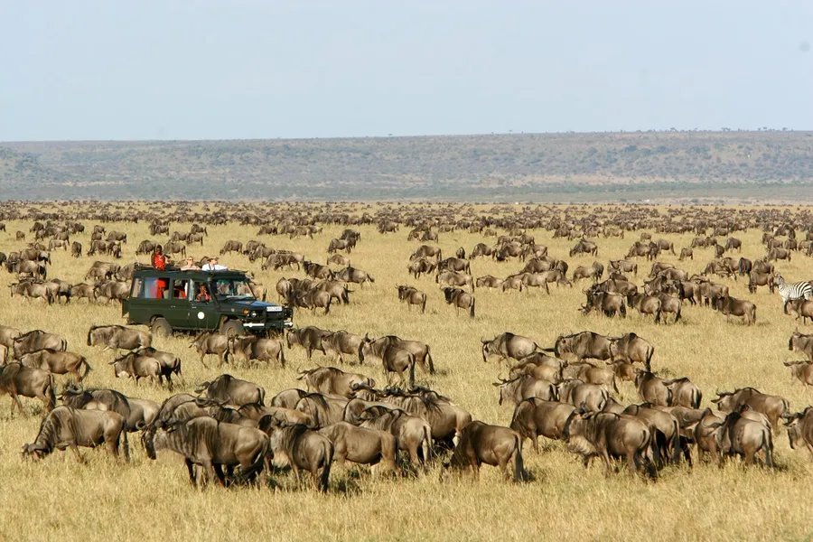 MASAI MARA