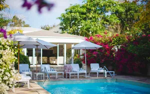 The Last Word Constantia