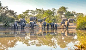 Klaserie Private Game Reserve