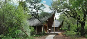 Black Rhino Game Lodge