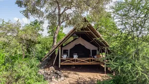 Jongomero Camp