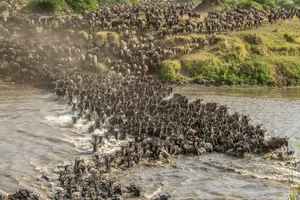 Serengeti National Park