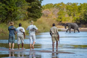 South Luangwa National Park